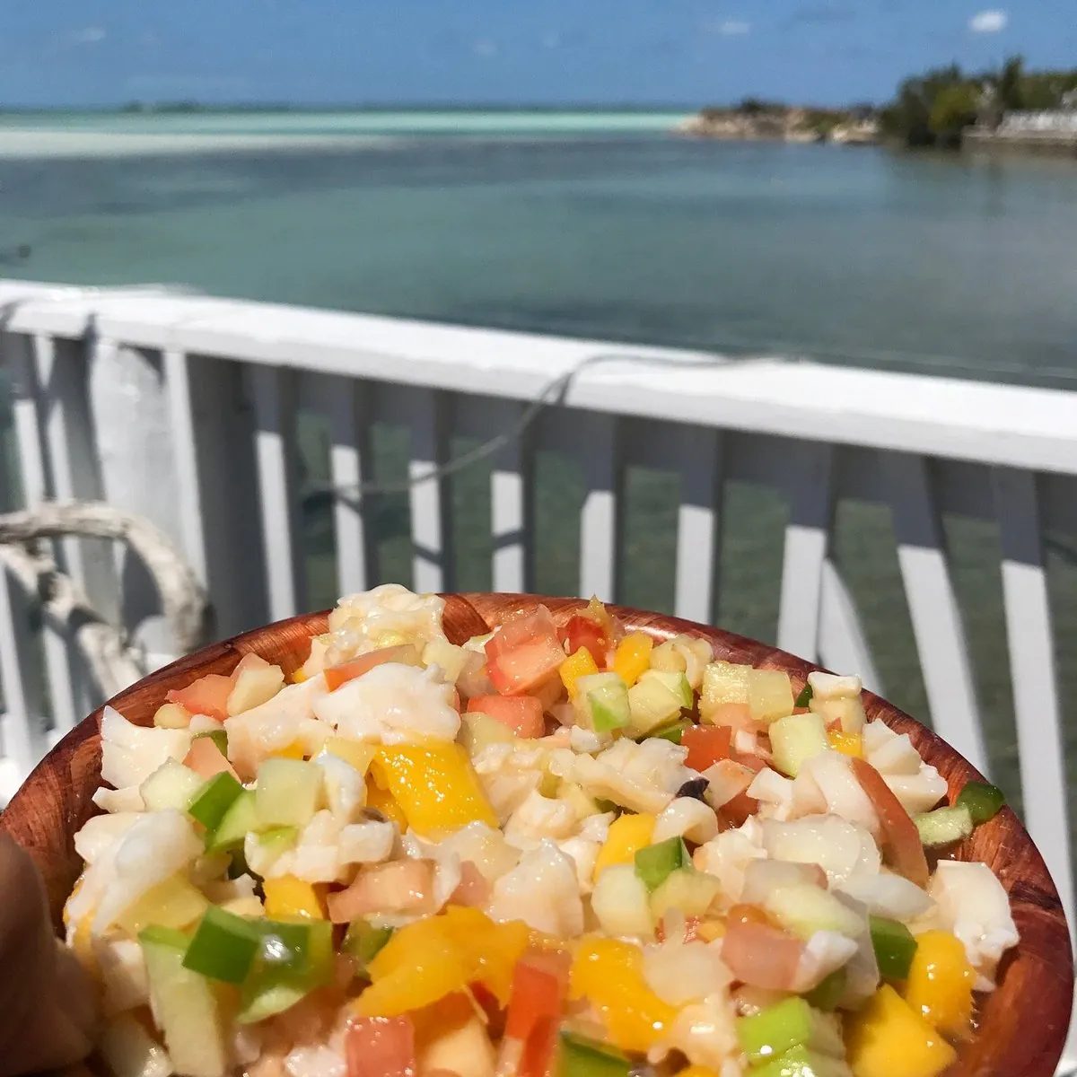Fresh Bahamian conch salad with mango, pepper and lime by the water