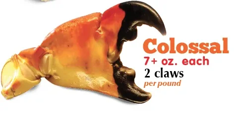 Colossal Stone Crab Claws