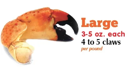 Large Stone Crab Claws