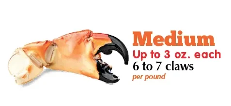 Medium Stone Crab Claws
