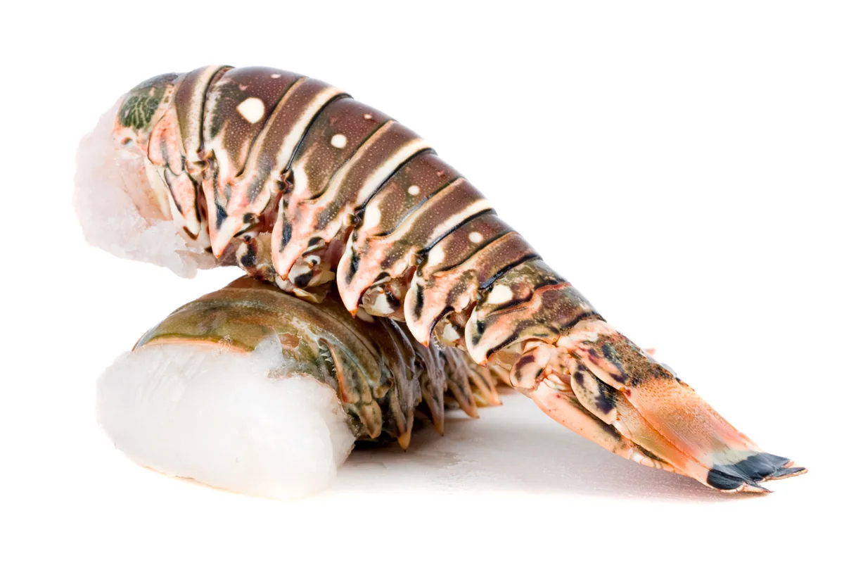 Spiny Lobster Tails