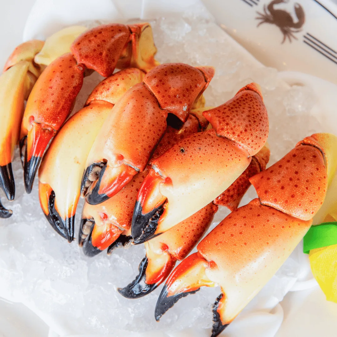 Fresh Bahamian stone crab claws, spiny lobster and conch delivered in Orlando, FL